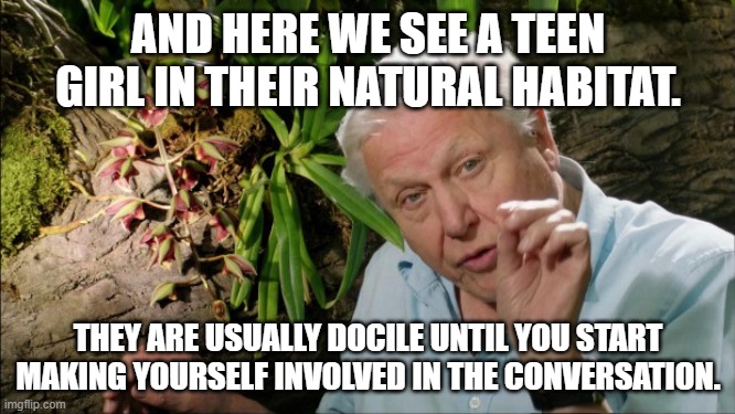 Save this for the perfect moment. | AND HERE WE SEE A TEEN GIRL IN THEIR NATURAL HABITAT. THEY ARE USUALLY DOCILE UNTIL YOU START MAKING YOURSELF INVOLVED IN THE CONVERSATION. | image tagged in david attenborough | made w/ Imgflip meme maker