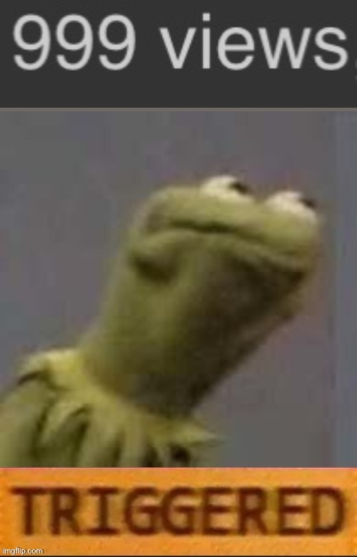 so close to 1k that it’s annoying | image tagged in kermit triggered,memes,funny,999 views,ocd,triggered | made w/ Imgflip meme maker