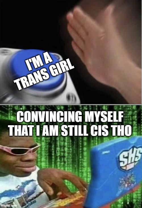 egg denial | I'M A TRANS GIRL; CONVINCING MYSELF THAT I AM STILL CIS THO | image tagged in slap that button | made w/ Imgflip meme maker