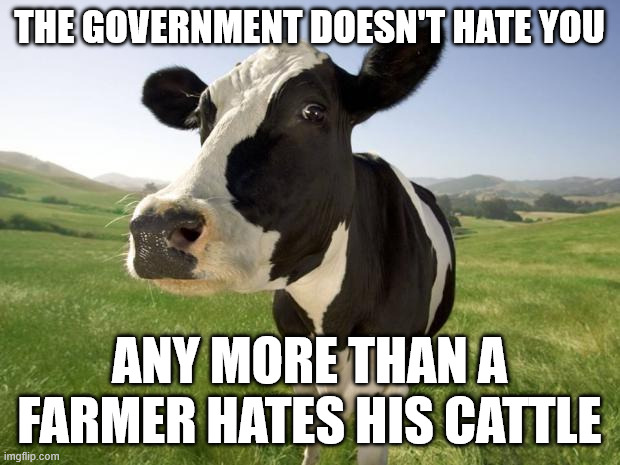 cow | THE GOVERNMENT DOESN'T HATE YOU; ANY MORE THAN A FARMER HATES HIS CATTLE | image tagged in cow | made w/ Imgflip meme maker