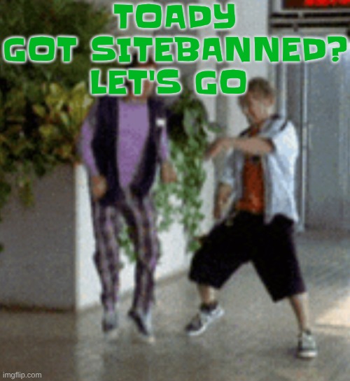 Breaking it down | TOADY GOT SITEBANNED? LET'S GO | image tagged in breaking it down | made w/ Imgflip meme maker
