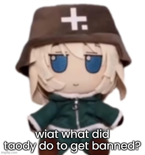 yuuri fumo | wiat what did taody do to get banned? | image tagged in yuuri fumo | made w/ Imgflip meme maker