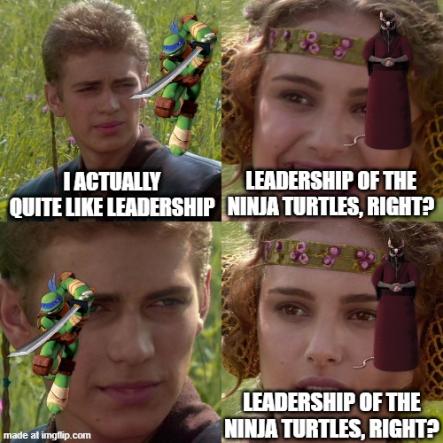 Who is the leader of Teenage Mutant Ninja Turtles? | I ACTUALLY QUITE LIKE LEADERSHIP; LEADERSHIP OF THE NINJA TURTLES, RIGHT? LEADERSHIP OF THE NINJA TURTLES, RIGHT? | image tagged in anakin padme 4 panel,memes,funny,teenage mutant ninja turtles,tmnt,nickelodeon | made w/ Imgflip meme maker