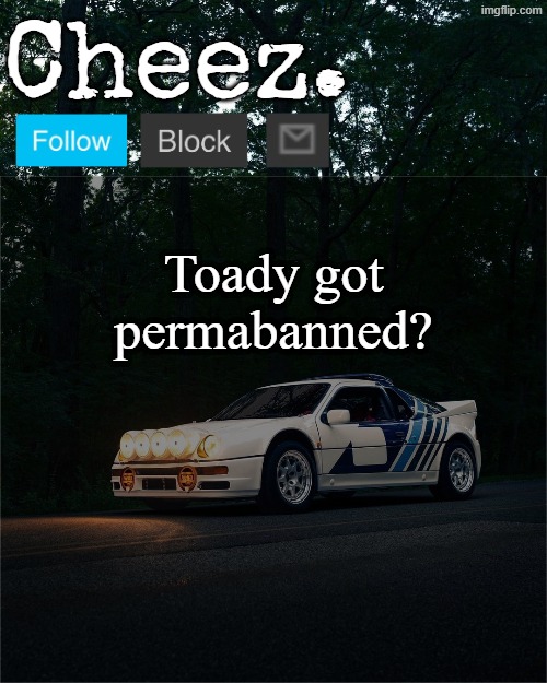 Cheez's Ford RS200 Evolution Template | Toady got permabanned? | image tagged in cheez's ford rs200 evolution template | made w/ Imgflip meme maker