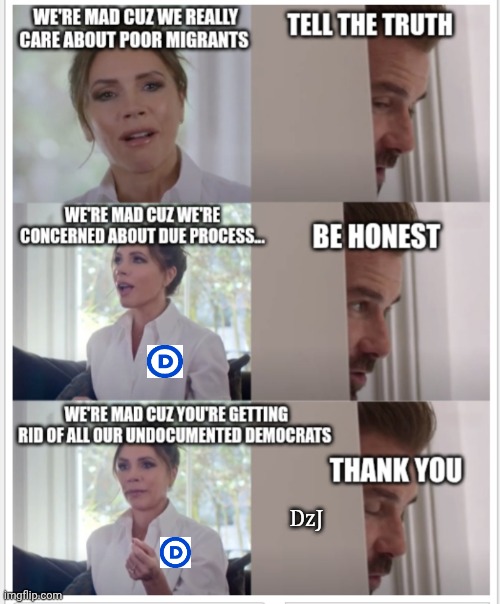 As if we all didn't know it - | DzJ | image tagged in lying,cheating,democrat,traitors | made w/ Imgflip meme maker