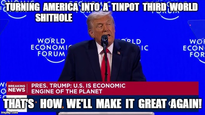 Business Model | TURNING  AMERICA  INTO  A  TINPOT  THIRD  WORLD  SHITHOLE; THAT'S   HOW  WE'LL  MAKE  IT  GREAT  AGAIN! | image tagged in maga | made w/ Imgflip meme maker