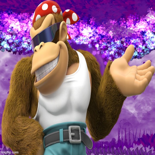 funky kong icon | image tagged in funky kong,icons,donkey kong,videogames,nintendo | made w/ Imgflip meme maker