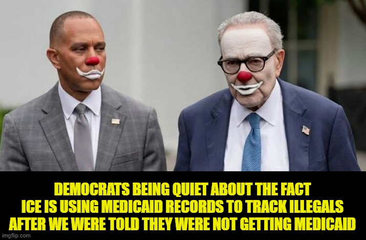 Democrat lies and fraud for campaign contributions from the stolen government funds | DEMOCRATS BEING QUIET ABOUT THE FACT ICE IS USING MEDICAID RECORDS TO TRACK ILLEGALS AFTER WE WERE TOLD THEY WERE NOT GETTING MEDICAID | image tagged in ngo,fraud,democrats,minnesota,government corruption,america first | made w/ Imgflip meme maker
