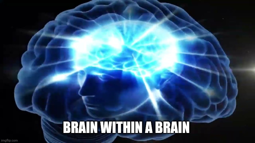 But you didn't have to cut me off | BRAIN WITHIN A BRAIN | image tagged in but you didn't have to cut me off | made w/ Imgflip meme maker