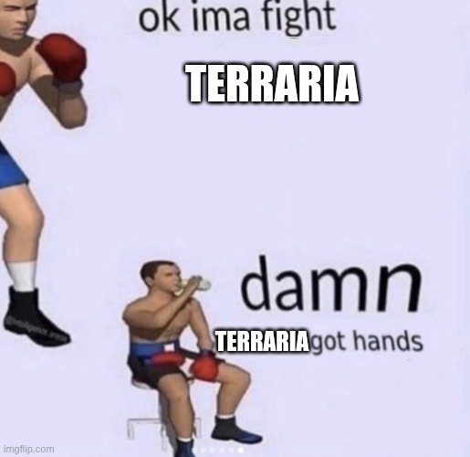 minecraft be like | TERRARIA; TERRARIA | image tagged in damn got hands | made w/ Imgflip meme maker