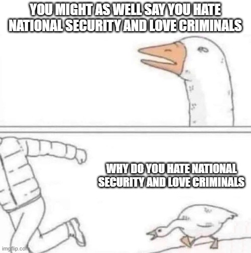 I love national security and hate criminals | YOU MIGHT AS WELL SAY YOU HATE NATIONAL SECURITY AND LOVE CRIMINALS; WHY DO YOU HATE NATIONAL SECURITY AND LOVE CRIMINALS | image tagged in goose chase | made w/ Imgflip meme maker