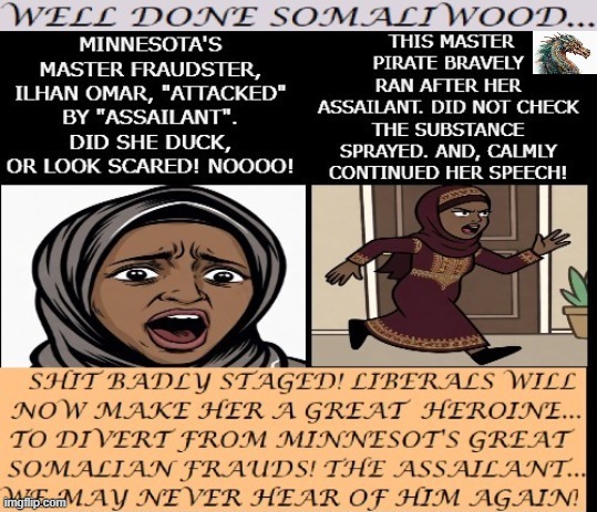 politics | image tagged in political meme | made w/ Imgflip meme maker