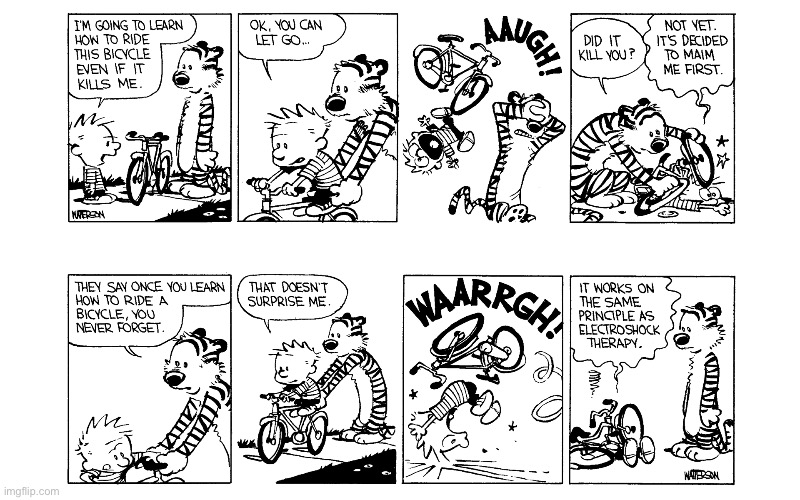 image tagged in calvin and hobbes,comics | made w/ Imgflip meme maker