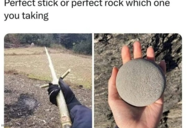 Which one | image tagged in what,stop reading the tags,oh wow are you actually reading these tags,fuck you | made w/ Imgflip meme maker