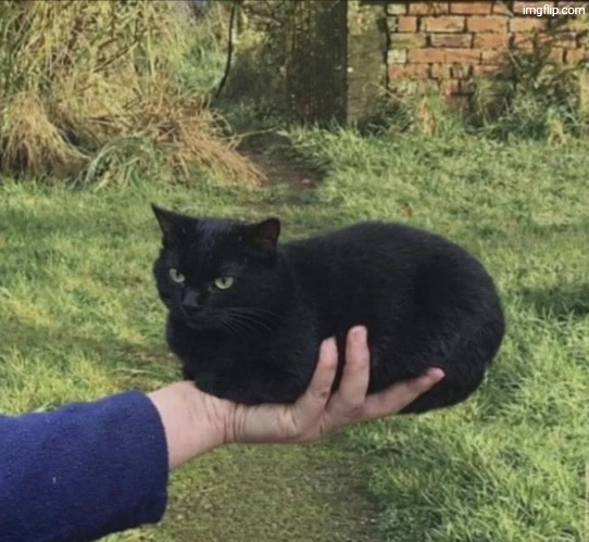 Item | made w/ Imgflip meme maker