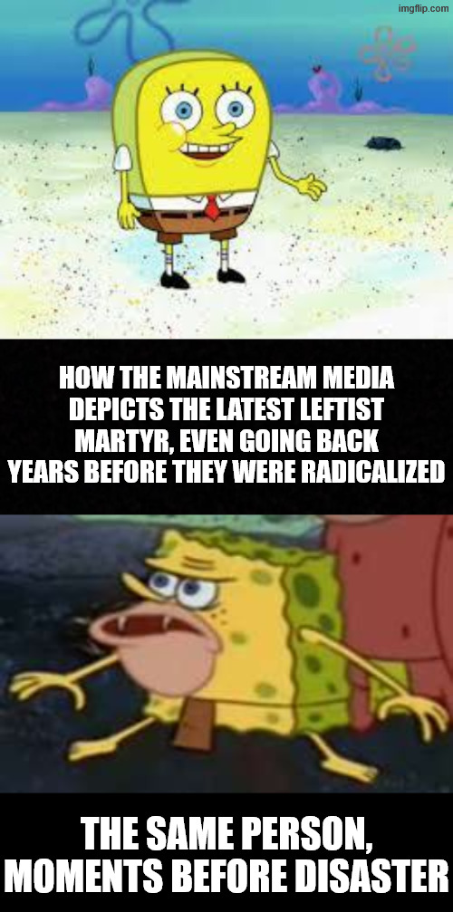 Everything they say is spun, or an outright lie. | HOW THE MAINSTREAM MEDIA DEPICTS THE LATEST LEFTIST MARTYR, EVEN GOING BACK YEARS BEFORE THEY WERE RADICALIZED; THE SAME PERSON, MOMENTS BEFORE DISASTER | image tagged in normal spongebob,memes,spongegar,minnesota,ice,insurrection | made w/ Imgflip meme maker