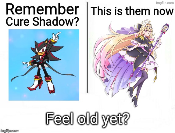 Cure (Arcana) Shadow. You just used to the joke | Cure Shadow? | image tagged in remember x this is them now,precure,sonic,sonic the hedgehog,shadow the hedgehog,pretty cure | made w/ Imgflip meme maker