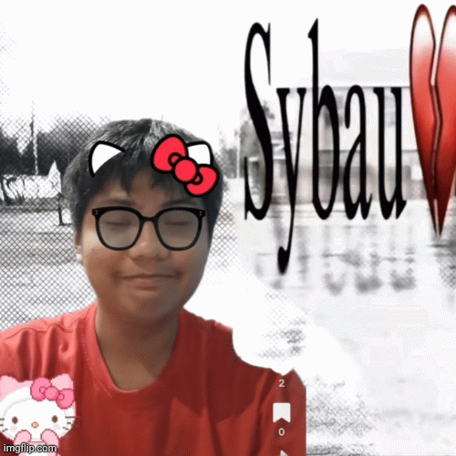 SEAN SYBAU | image tagged in gifs,funny,meme | made w/ Imgflip images-to-gif maker