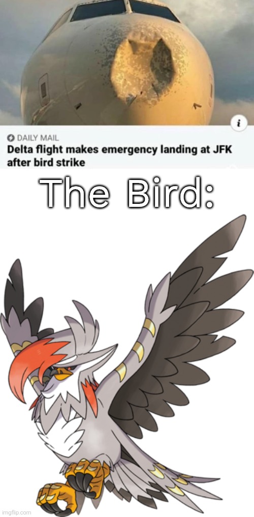 That Bird must have been a very powerful one. | The Bird: | image tagged in plane,bird | made w/ Imgflip meme maker