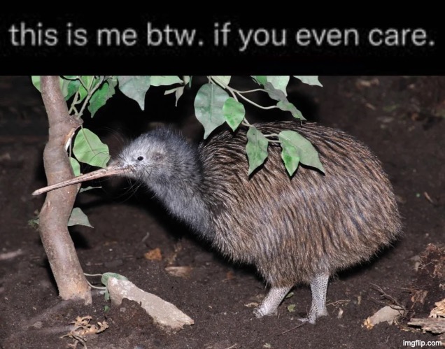 shoutout to new zealand for this creature | made w/ Imgflip meme maker