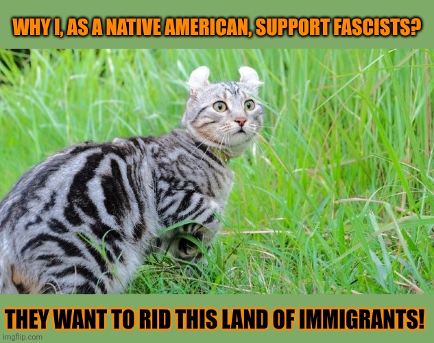 This #lolcat wonders if natives should support fascism | WHY I, AS A NATIVE AMERICAN, SUPPORT FASCISTS? THEY WANT TO RID THIS LAND OF IMMIGRANTS! | image tagged in fascism,native american,native americans,lolcat,border | made w/ Imgflip meme maker
