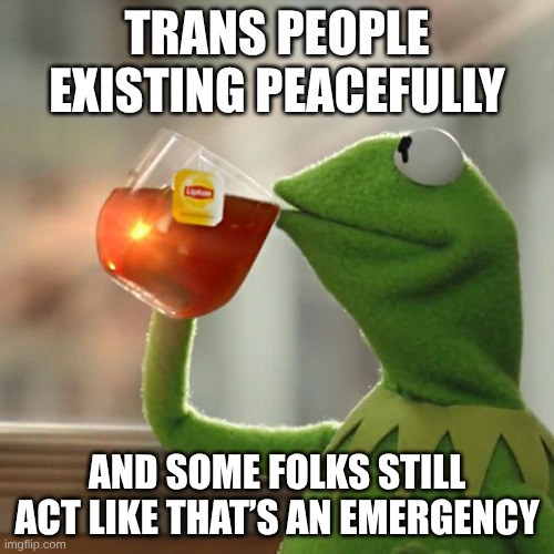 But That's None Of My Business Meme | TRANS PEOPLE EXISTING PEACEFULLY; AND SOME FOLKS STILL ACT LIKE THAT’S AN EMERGENCY | image tagged in memes,but that's none of my business,kermit the frog | made w/ Imgflip meme maker