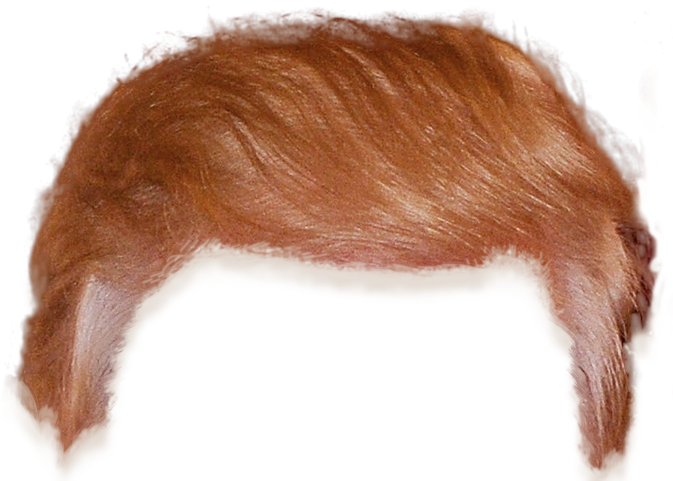 Ginger Hair Blank Meme Template