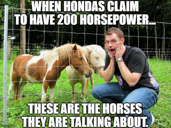 Honda horsepower | WHEN HONDAS CLAIM TO HAVE 200 HORSEPOWER... THESE ARE THE HORSES THEY ARE TALKING ABOUT. | image tagged in honda,horses,horsepower,engine,cars | made w/ Imgflip meme maker