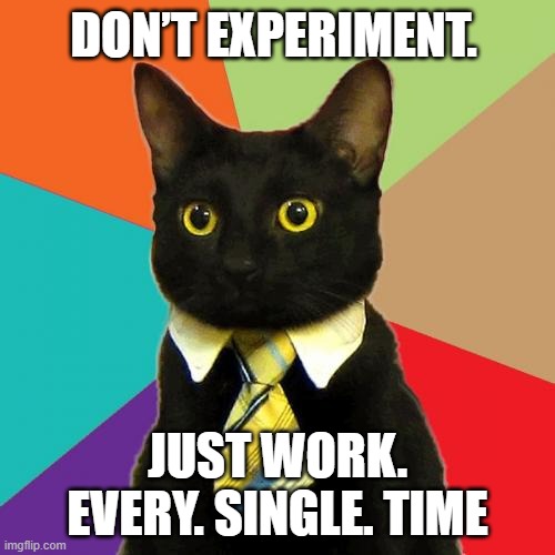 Business Cat Meme | DON’T EXPERIMENT. JUST WORK. EVERY. SINGLE. TIME | image tagged in memes,business cat | made w/ Imgflip meme maker