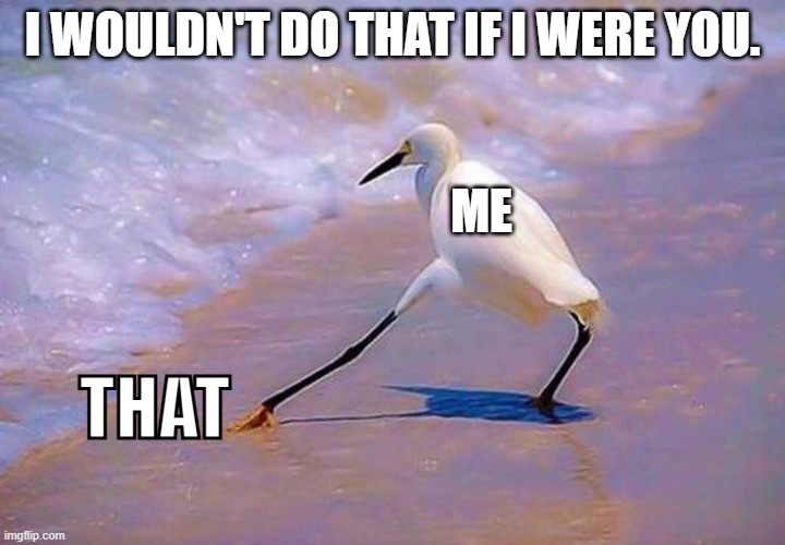I wouldn't do that | I WOULDN'T DO THAT IF I WERE YOU. ME; THAT | image tagged in i wouldn't do that,that,crane | made w/ Imgflip meme maker