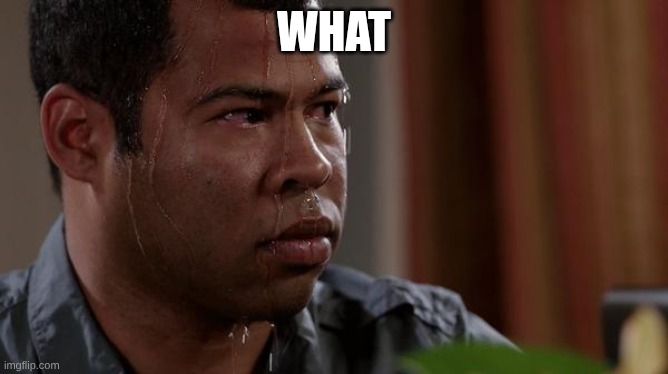 sweating bullets | WHAT | image tagged in sweating bullets | made w/ Imgflip meme maker