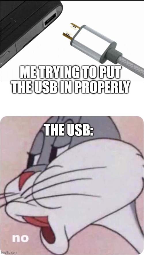 It's this way! Wait no its not! | ME TRYING TO PUT THE USB IN PROPERLY; THE USB: | image tagged in bugs bunny no,usb,this tag is not important | made w/ Imgflip meme maker