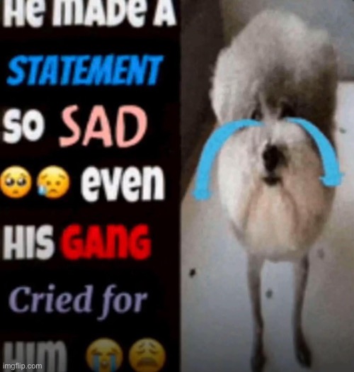 he made a statement so sad | image tagged in he made a statement so sad | made w/ Imgflip meme maker