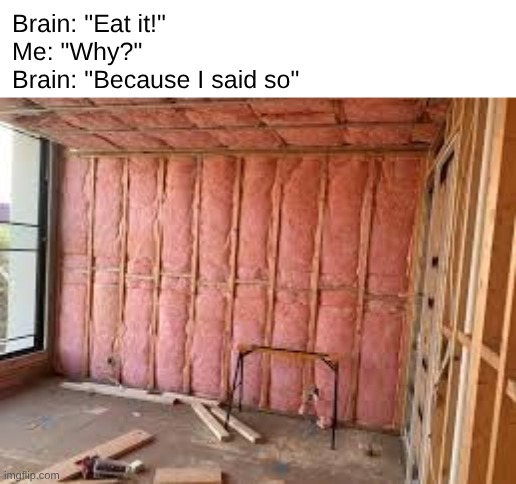meme | Brain: "Eat it!"
Me: "Why?"
Brain: "Because I said so" | image tagged in meme | made w/ Imgflip meme maker