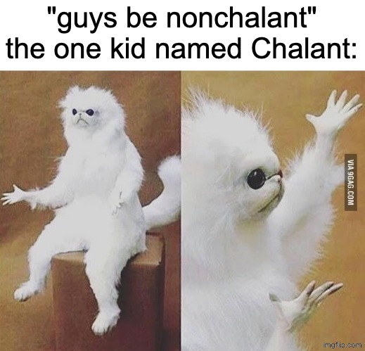 wtf bro | "guys be nonchalant"
the one kid named Chalant: | image tagged in confused white monkey,funny,memes,why are you reading the tags,humor | made w/ Imgflip meme maker