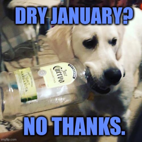 Dry January? No Thanks. | DRY JANUARY? NO THANKS. | image tagged in tequila party pup | made w/ Imgflip meme maker