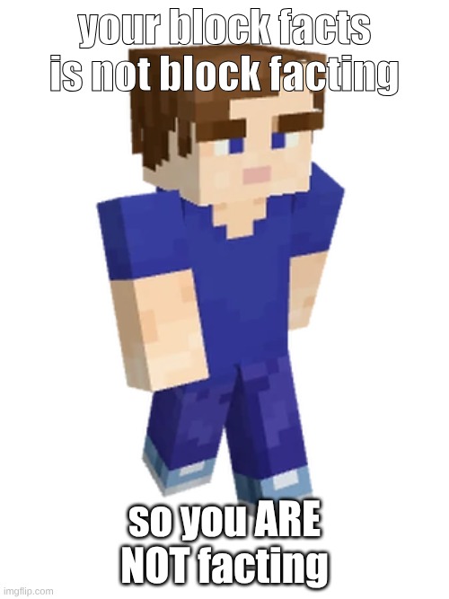 block | your block facts is not block facting; so you ARE NOT facting | image tagged in block | made w/ Imgflip meme maker