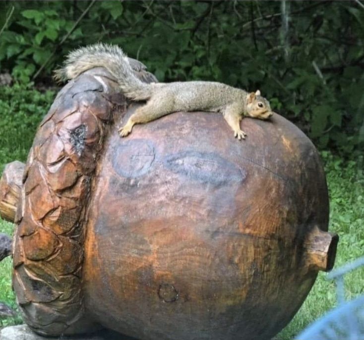 Chrisjoines1 Blank Meme Template