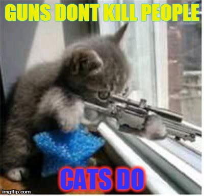 cats with guns | GUNS DONT KILL PEOPLE CATS DO | image tagged in cats with guns,cats,lol,cat,gun | made w/ Imgflip meme maker