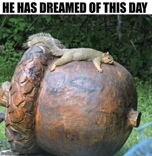 He Has Dreamed Of This Day | HE HAS DREAMED OF THIS DAY | image tagged in chrisjoines1 | made w/ Imgflip meme maker