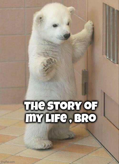 Not now Bear | The story of my life , Bro | image tagged in not now bear | made w/ Imgflip meme maker