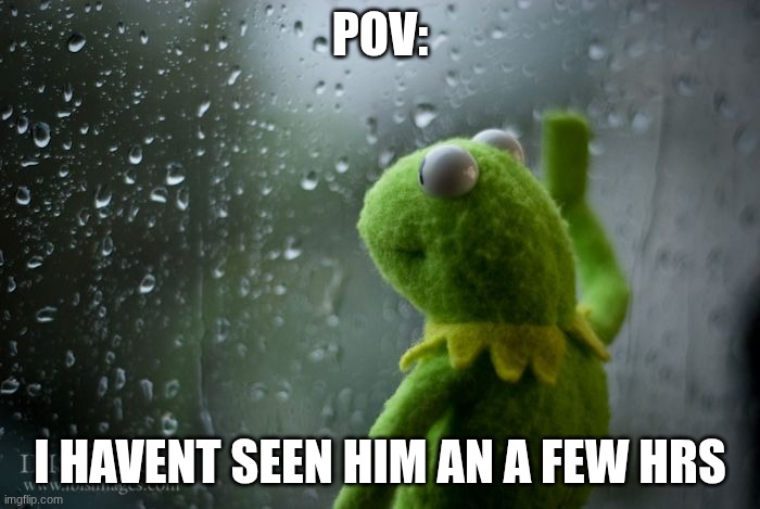 kermit window | POV:; I HAVENT SEEN HIM AN A FEW HRS | image tagged in kermit window | made w/ Imgflip meme maker