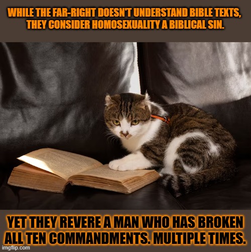This #lolcat wonders why christians revere someone who broke all Ten Commandments | WHILE THE FAR-RIGHT DOESN'T UNDERSTAND BIBLE TEXTS, 
THEY CONSIDER HOMOSEXUALITY A BIBLICAL SIN. YET THEY REVERE A MAN WHO HAS BROKEN ALL TEN COMMANDMENTS. MULTIPLE TIMES. | image tagged in christianity,conservative hypocrisy,donald trump,bible,lolcat | made w/ Imgflip meme maker