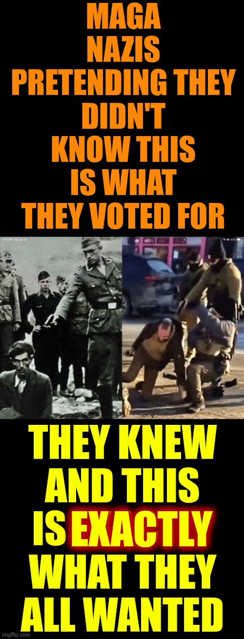 THIS Is EXACTLY What They ALL Wanted | MAGA NAZIS PRETENDING THEY DIDN'T KNOW THIS IS WHAT THEY VOTED FOR; THEY KNEW AND THIS IS EXACTLY WHAT THEY ALL WANTED; EXACTLY | image tagged in memes,maga,nazis,terrorists,lock them up,impeach convict remove and incarcerate donald trump | made w/ Imgflip meme maker