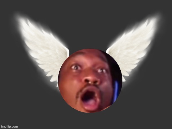 Ambatufly | image tagged in ambatukam | made w/ Imgflip meme maker