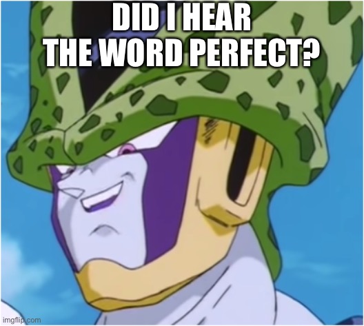 DID I HEAR THE WORD PERFECT? | image tagged in perfect | made w/ Imgflip meme maker