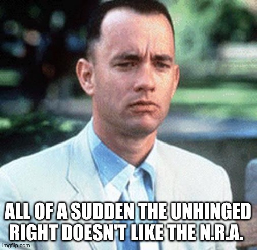Gun laws | ALL OF A SUDDEN THE UNHINGED RIGHT DOESN'T LIKE THE N.R.A. | image tagged in forrest gump | made w/ Imgflip meme maker
