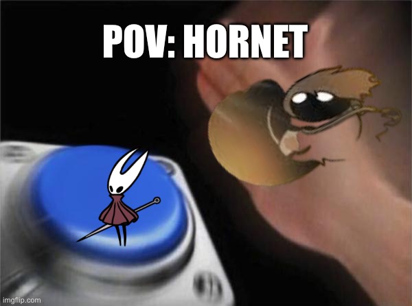 Hornet | POV: HORNET | image tagged in memes,blank nut button | made w/ Imgflip meme maker