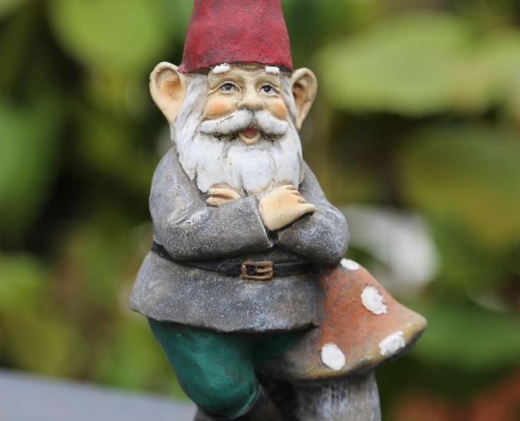 Gnomie gnome Blank Meme Template