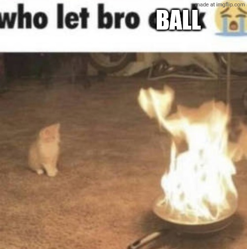 who let bro cook | BALL | image tagged in who let bro cook | made w/ Imgflip meme maker